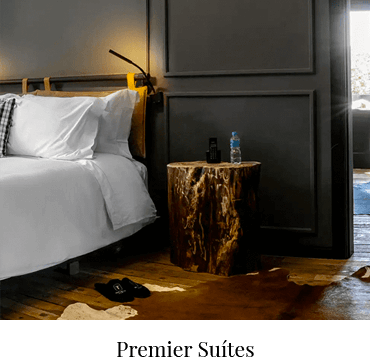 Premier_Suites